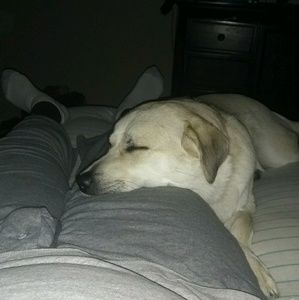 Meet your Posher, Chad